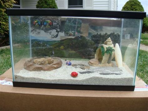 The hermit crab tank needs to contain a conditioned freshwater bowl and a conditioned saltwater bowl. Hermit Crab Tank for sale on Craigslist | Hermit crab tank ...