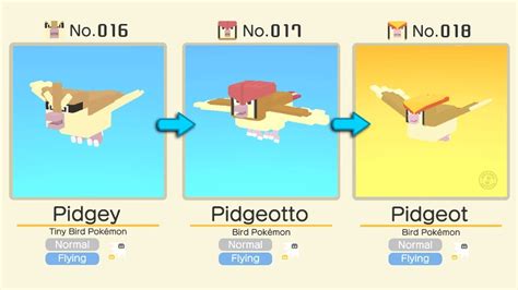 Pidgey Evolved Into Pidgeotto Pidgeot Pokémon Quest Pokémon
