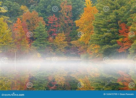 Autumn Shoreline Hall Lake In Fog Stock Image Image Of Fall Scenery