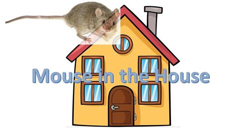 We Have A Mouse In The House Youtube