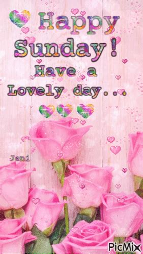 Cute Pink Roses Happy Sunday Pictures Photos And Images For