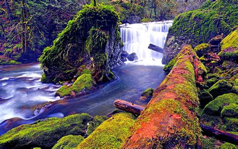 Waterfalls Rocks Logs Moss Waterfall River Wood Hd Wallpaper