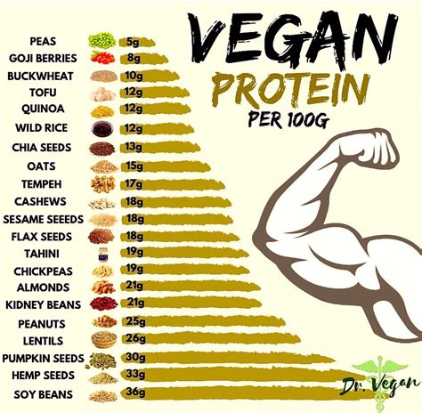Good Protein Sources Rvegan