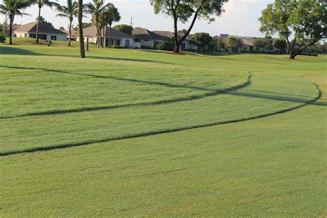 The Fountains Country Club Golf Course Maintenance Intermediate Rough Cut