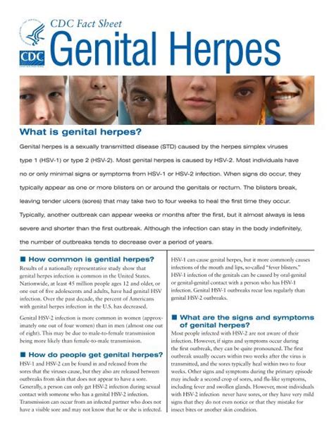 Genital Herpes Fact Sheet Butte County