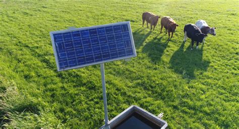 Boralex and Sun'Agri Team Up to Develop Agrivoltaics in Europe