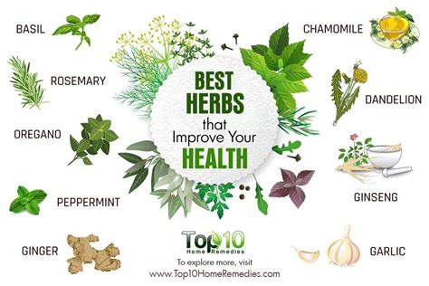 10 Best Herbs That Improve Your Health Top 10 Home Remedies