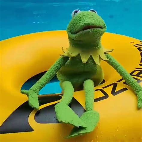 The Pool Is Open And Kermit Is Having The Time Of His Life Ifunny Brazil