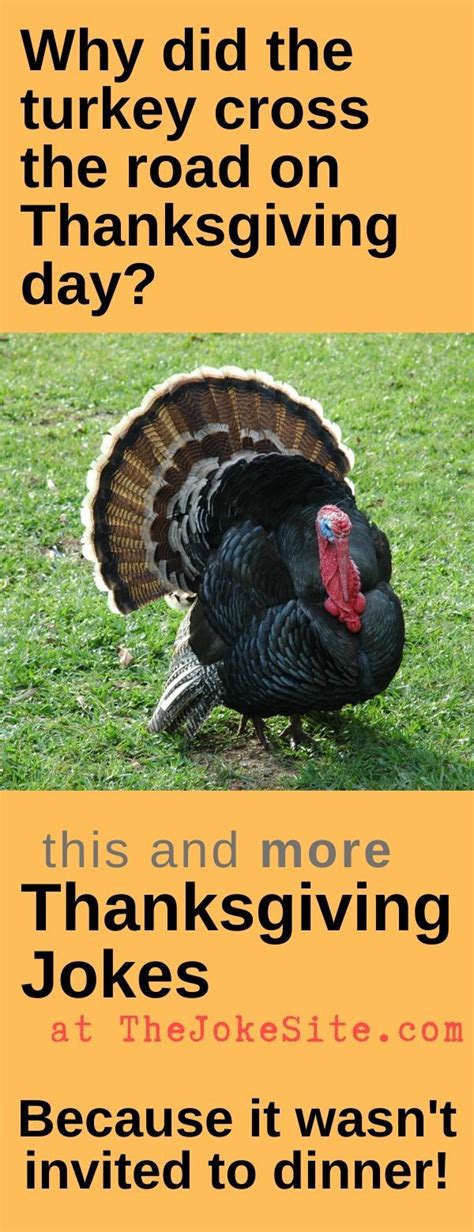 Funny Thanksgiving Turkey Joke Thanksgiving Jokes Turkey Jokes
