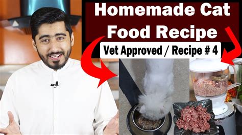 These three simple homemade cat food recipes for sensitive stomach will help ease your feline's pain. Healthy - Homemade Cat Food Recipe || Raw Beef - Balanced ...