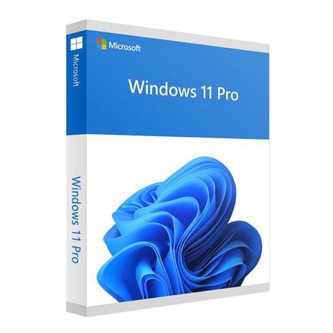 Windows 11 Professional Activation Key Key Software
