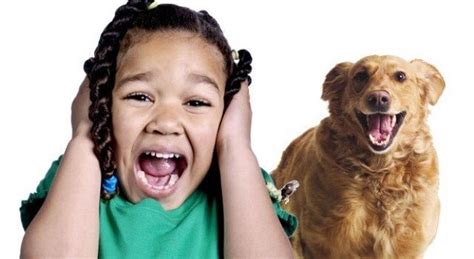 Teaching Your Children How To Be Safe Around Dogs Brian D Guralnick