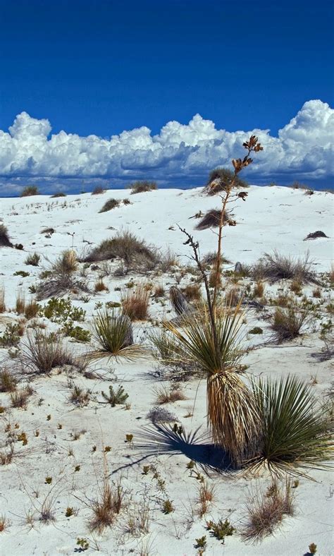 White Sands National Monument New Mexico With Images White Sands