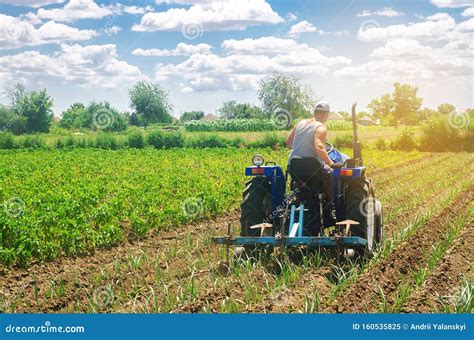 A Farmer On A Tractor Plows A Field Vegetable Rows Of Leeks Plowing Field Seasonal Farm Work