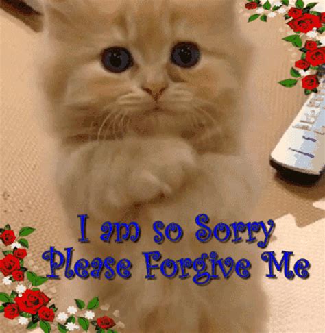 Find best sorry gif, im sorry gif, im sorry gif & images, which you can download and share with your best friends and your family on facebook i'm sorry flowers are the best way to send an apology. Kitty Says, "Please Forgive Me!" Free Sorry eCards | 123 ...