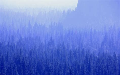 Mountain With Trees Covered With Fogs Mac Wallpaper Download