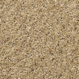 Mohawk carpet prices start at around $1.49 per square foot and top out at around $8.00 depending on the style, color, and series you choose. Mohawk Carpet | Mohawk Carpet Flooring - Aladdin 01