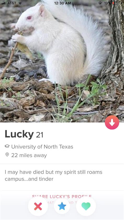 Many teens use tinder for fun and have no intentions of meeting up with a potential match. Found on tinder : unt