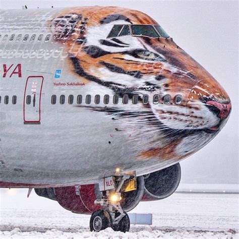 Cool Airplane Paint Jobs