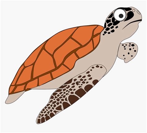 Loggerhead Sea Turtle Cartoon Hd Png Download Kindpng