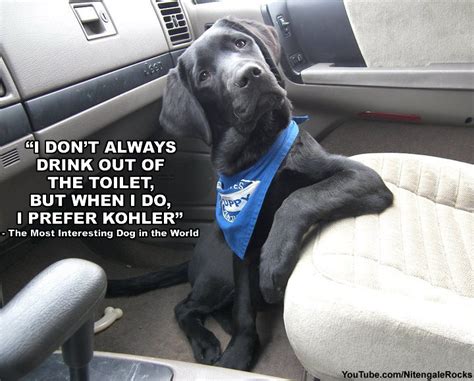 You can change or withdraw your consent any time from the cookie declaration. The Most Interesting Dog in the World | The Most ...