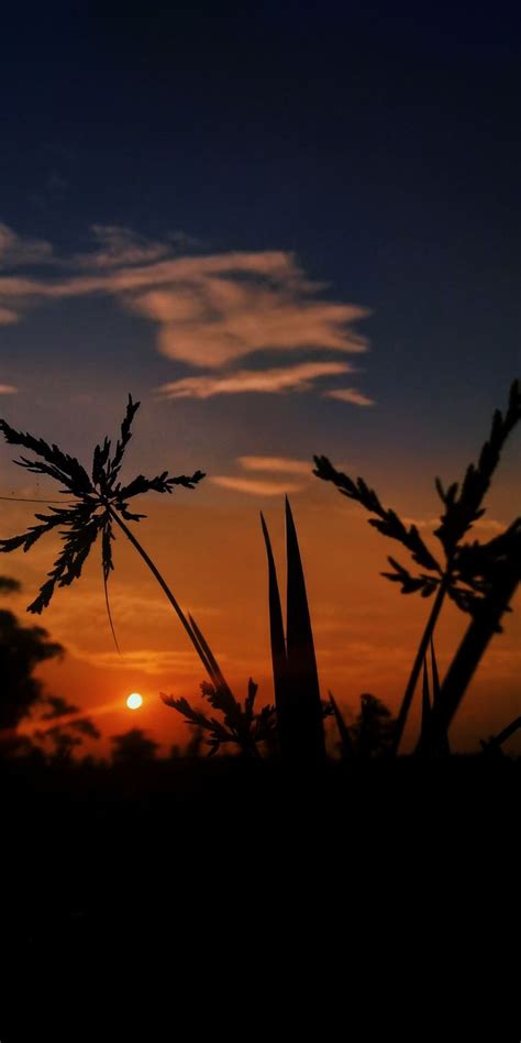 85 Background Aesthetic Senja Images - MyWeb