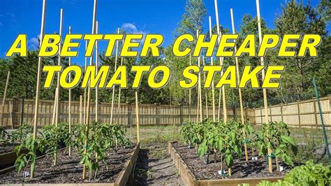 Use These As A Better Cheaper Alternative To Tomato Stakes To Support