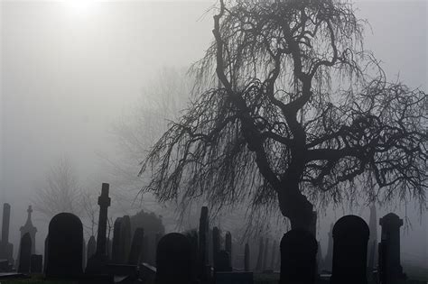 Spooky Old Cemetery On A Foggy Day مدیاسافت