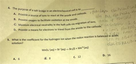 Solved The Purpose Of A Salt Bridge In An Electrochemical