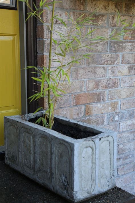 Diy Concrete Planter Detailed Instructions And Molds For