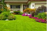 Pictures of Lawn And Landscape Ideas