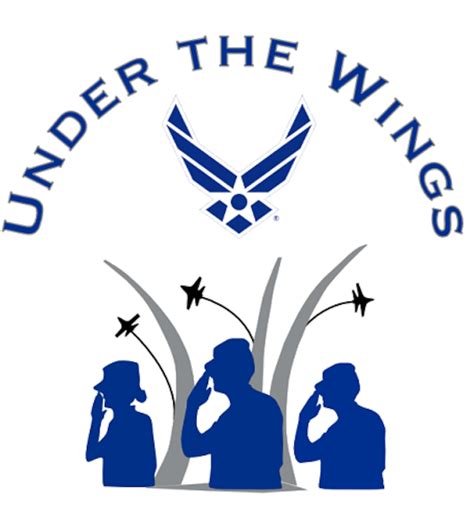 Under The Wings Jrotc Cadet Mentorship Program Launches Air Force Article Display