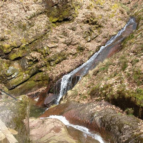 Ze noemen het niet voor niets één van de mooiste wandeling van de belgische ardennen. Ninglinspo, wandelen in een spectaculaire vallei | Wonder ...