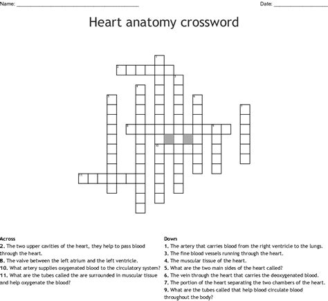 This set of printable crossword puzzles feature tricky topics such as celebrity anagrams, state nicknames and cryptic clues. Anatomy Crossword Puzzles Printable | Printable Crossword ...