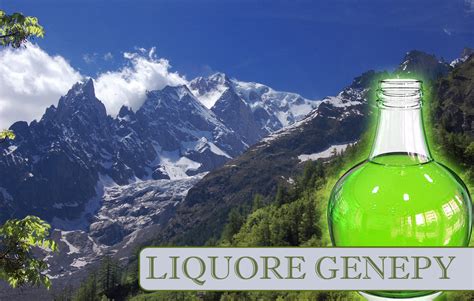 We did not find results for: Liquore Genepy - Menta e Cannella