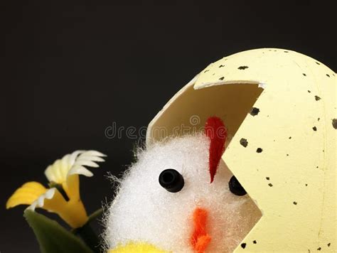 Easter Chicken Coming Out Of The Egg Stock Image Image Of Decorated