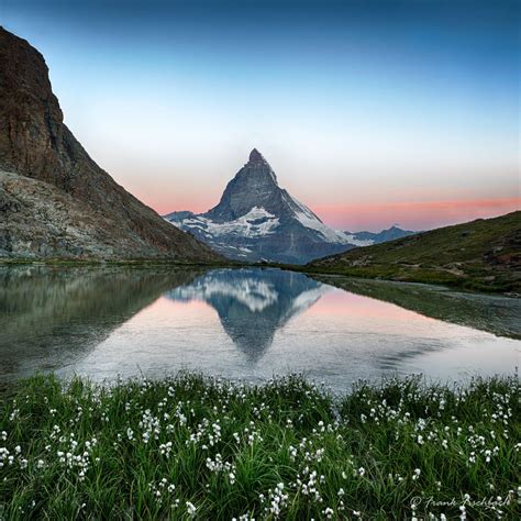 Matterhorn Reflection In Riffelsee With Flowers Zermatt Alps