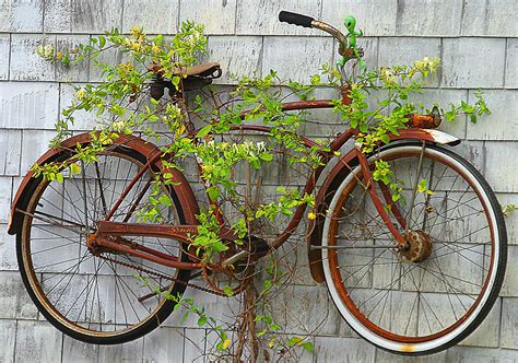 Bolinas Bicycle Cycling Small Patio Design Urban Garden Design