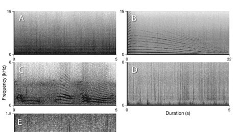 Example Spectrograms Of A Real Sources B Test Tones C Transient