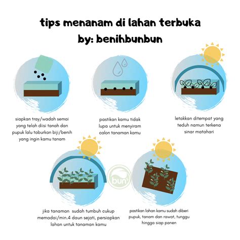 We did not find results for: Benih Lokal Organik: Bunga dan Buah - BenihBunbun Souvenir ...