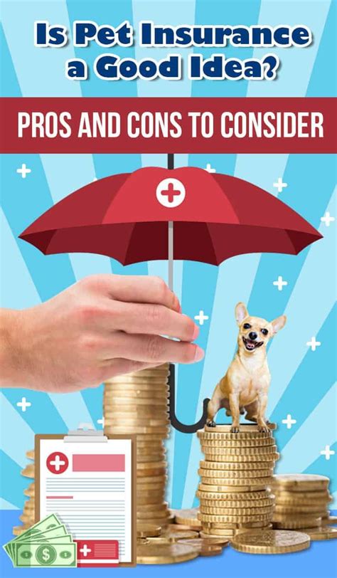 Find out if dental insurance covers deep cleanings how much is a dental cleaning without insurance? Discover the pros and cons with pet insurance with these affordable options! #pet #pets # ...