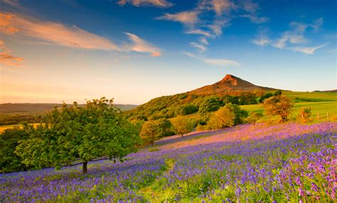We did not find results for: Seven superb summits to climb this spring