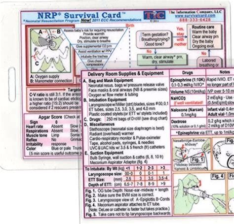 Nrp Neonatal Resuscitation Program Survival Card Small 3x4 38 In