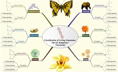 Taxonomy Basic