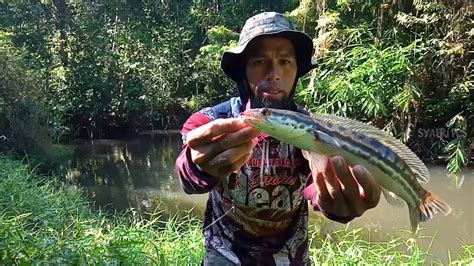Jadi kalau datang sungai petani, jangan rugikan diri tak cuba makanan kat sini. hasil mancing ikan toman//bakar dispot sungai pendalaman ...