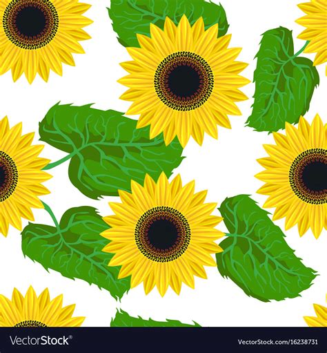 Seamless Pattern Graphic Sunflower Royalty Free Vector Image