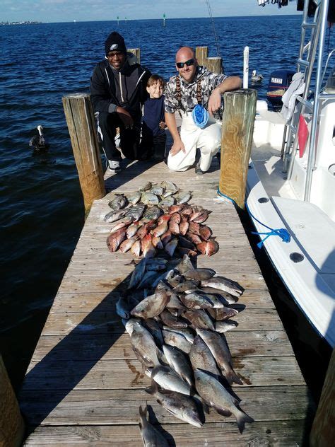 37 Best Fishing In Bradenton Florida Images Bradenton Florida