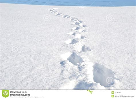 Footsteps On The Snow Royalty Free Stock Photos Image
