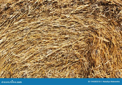 Close Up Straw Dry Straw Texture Background Haystack Texture