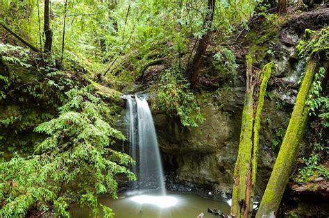 Top Waterfalls In The Santa Cruz Mountains Visit Santa Cruz County